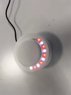 Open-Bouton