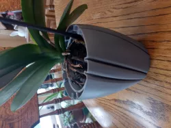 Orchid Pot
