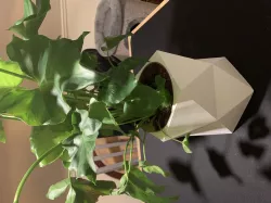 Penta Planter
