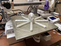 Rocktopus