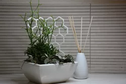 Simple hexagon trellises