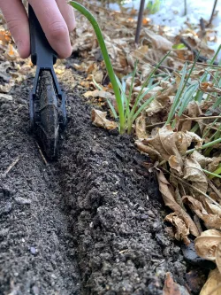 Soil carving tool