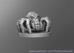 Spider skull