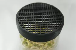 Sprout Growing Mason Jar Strainer