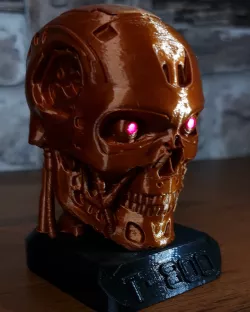 T800