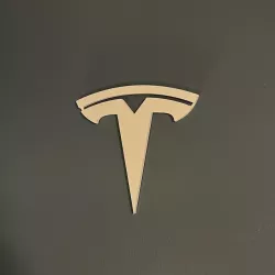 Tesla Logo (One Piece)