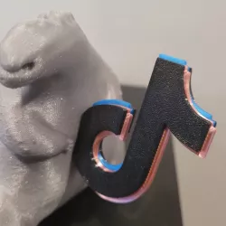 TikTok Magnetic Logo