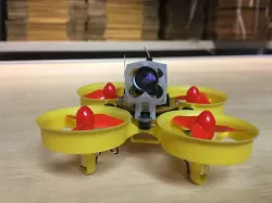 Tiny Whoop BeeBrain V2 canopy