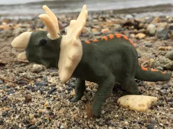 Triceratops