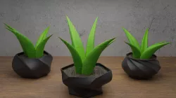 Twisted Flower Pots