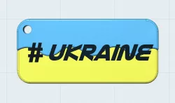 ukraine keychain with flag