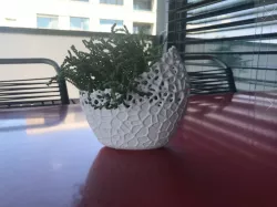 Voronoi Flower Pot