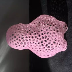 Voronoi Zee Blank