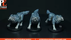 Wolf Snarling 2