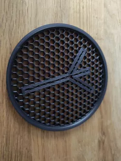 Algiz Coaster