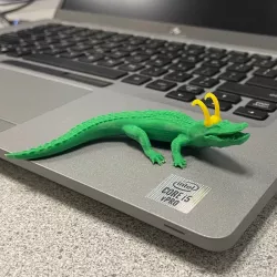 Alligator Loki - Two Piece Print