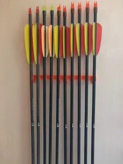 Arrow holder