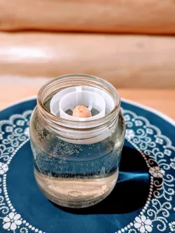 Avocado seed floater to JAR
