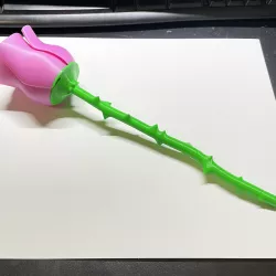 Better Rose Stem
