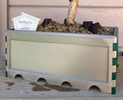 Bonsai pot