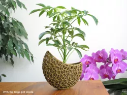 Capsule Planter