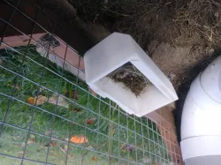 Chicken Coop accessories