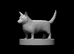 Corgi miniature