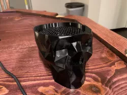 Dr Brain Skull (hollow with insert)