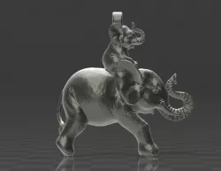 Elephant Charm Necklace/Earing.