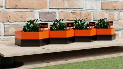Flower Pot