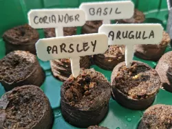 Fuzzy Plant Label (collection)