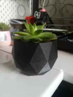 Geometric succulent pot