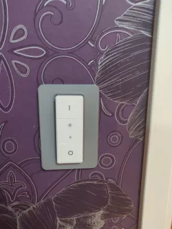Hue dimmer switch mount cover