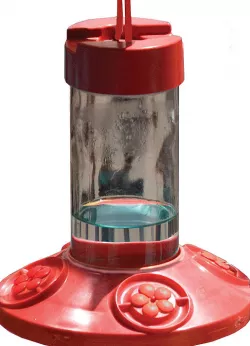 Hummingbird Feeder Replacement Port / Fleur pour abreuvoir à colibri