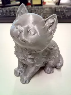 Kitten