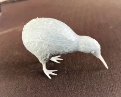 Kiwi Bird!
