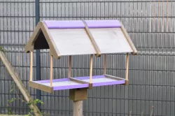 Large Bird Feeding House