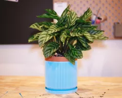 large mid century modern planter (vase mode)