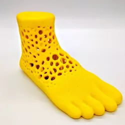Lattice Foot