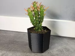 Mini-cactus pot
