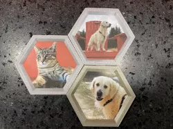 Modular hexagonal frame
