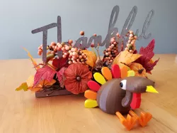 Mr. Turkey
