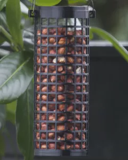 Peanut Bird Feeder