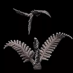 Plank Fern - tabletop miniature plants