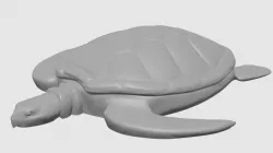 Sea Turtle