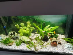 Shrimp Cave