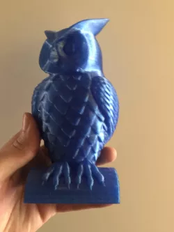 Sova - Owl