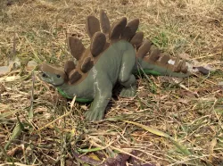 Stegosaurus