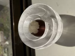 Vase mode avocado boat