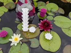 Water Lilly Pond Filter Media